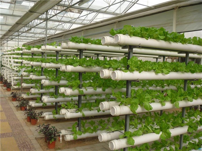 十堰市植物工厂种植槽 - 厂家