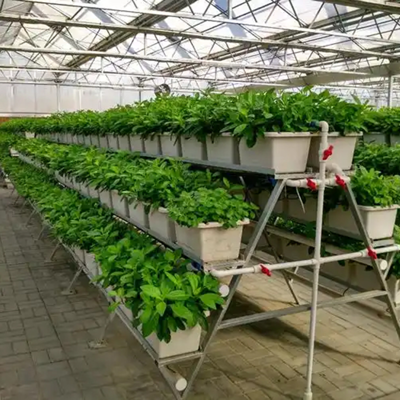 十堰市植物工厂苗床 - 方案