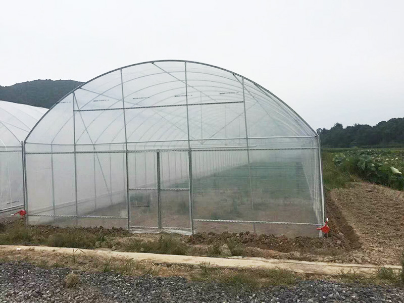 十堰市薄膜大棚植物工厂 - 厂家